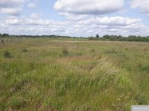 Działka budowlana Kęsowo. Zdjęcie 4