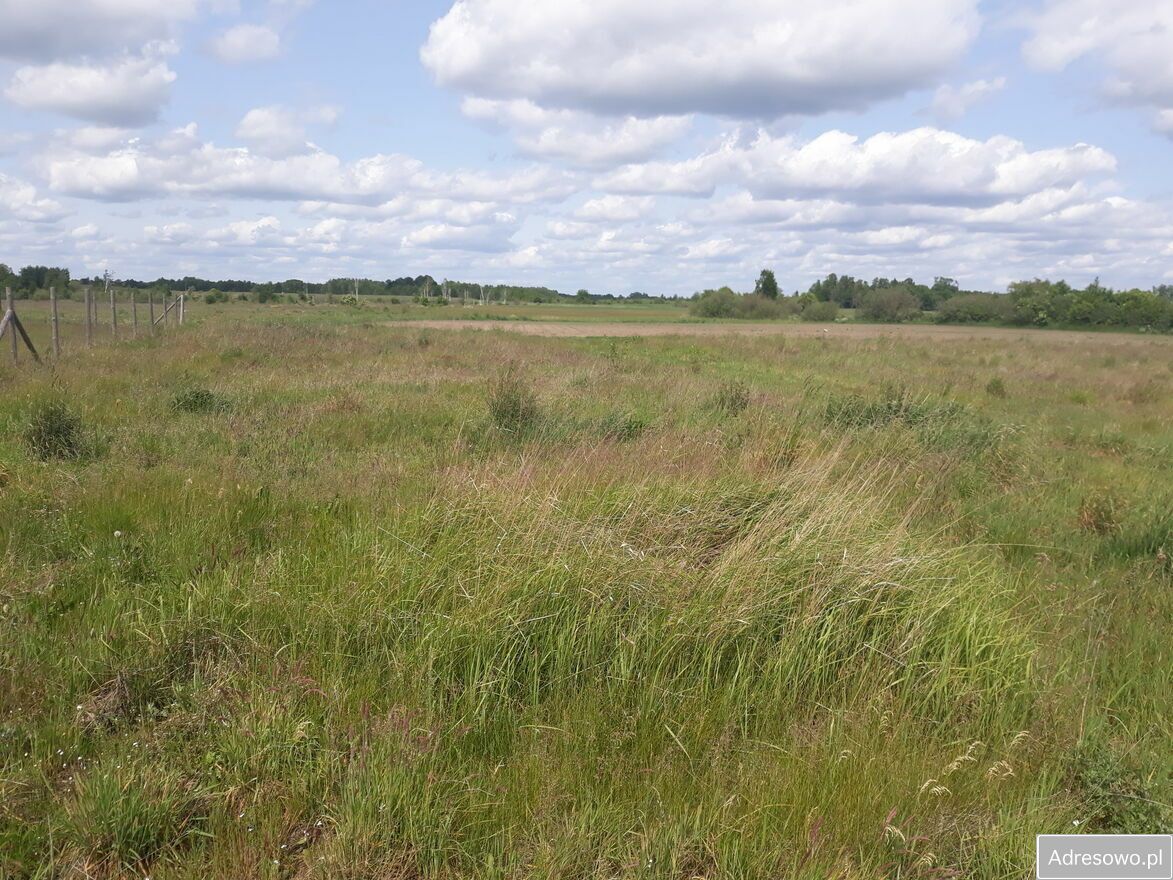 Działka budowlana Kęsowo. Zdjęcie 5