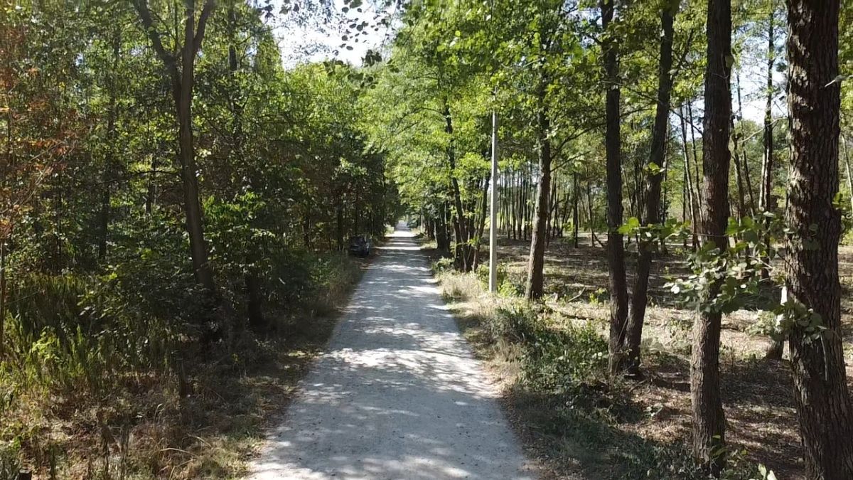 Działka budowlana Żanęcin, ul. Gościniec. Zdjęcie 3