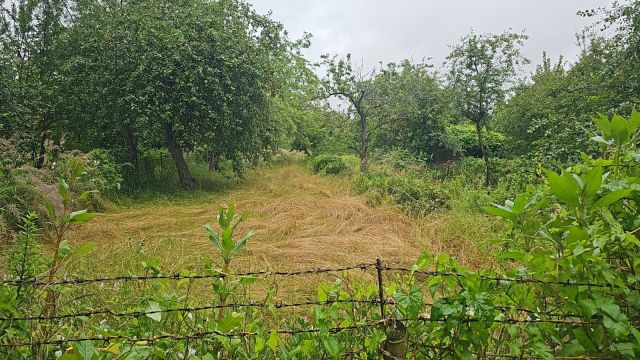 Działka rod Trzebiatów. Zdjęcie 1