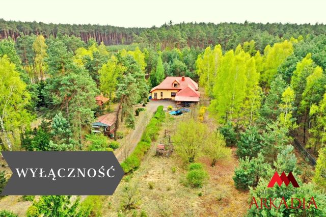 dom wolnostojący, 3 pokoje Adaminowo. Zdjęcie 1