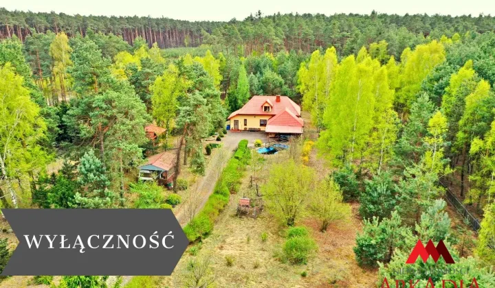 dom wolnostojący, 3 pokoje Adaminowo