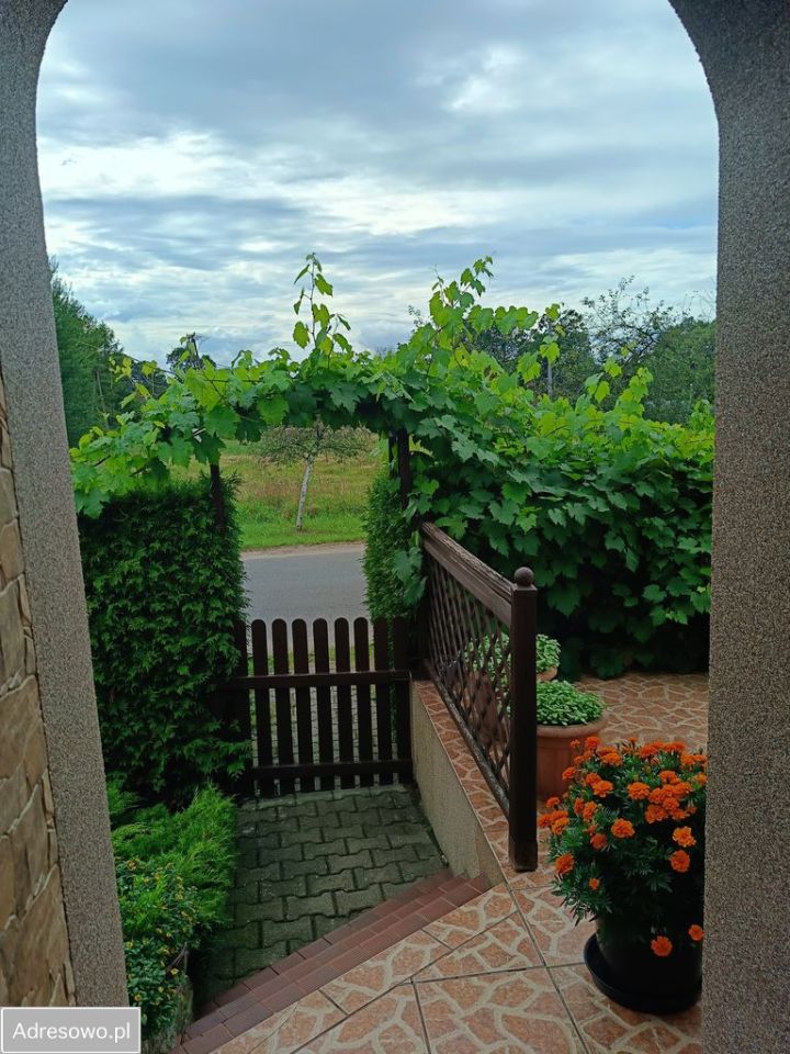 Mieszkanie 3-pokojowe Murzynowo. Zdjęcie 18