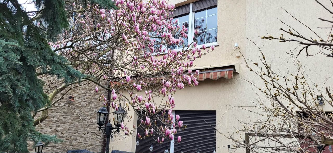 bliźniak, 5 pokoi Swarzędz, ul. Pawia. Zdjęcie 24