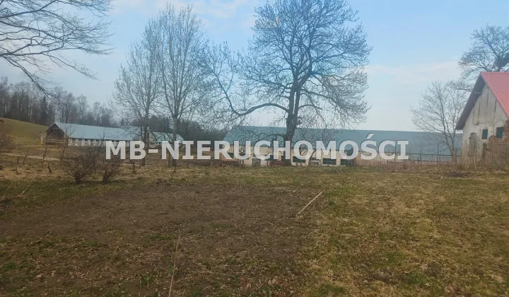 Działka rolna Sigajny
