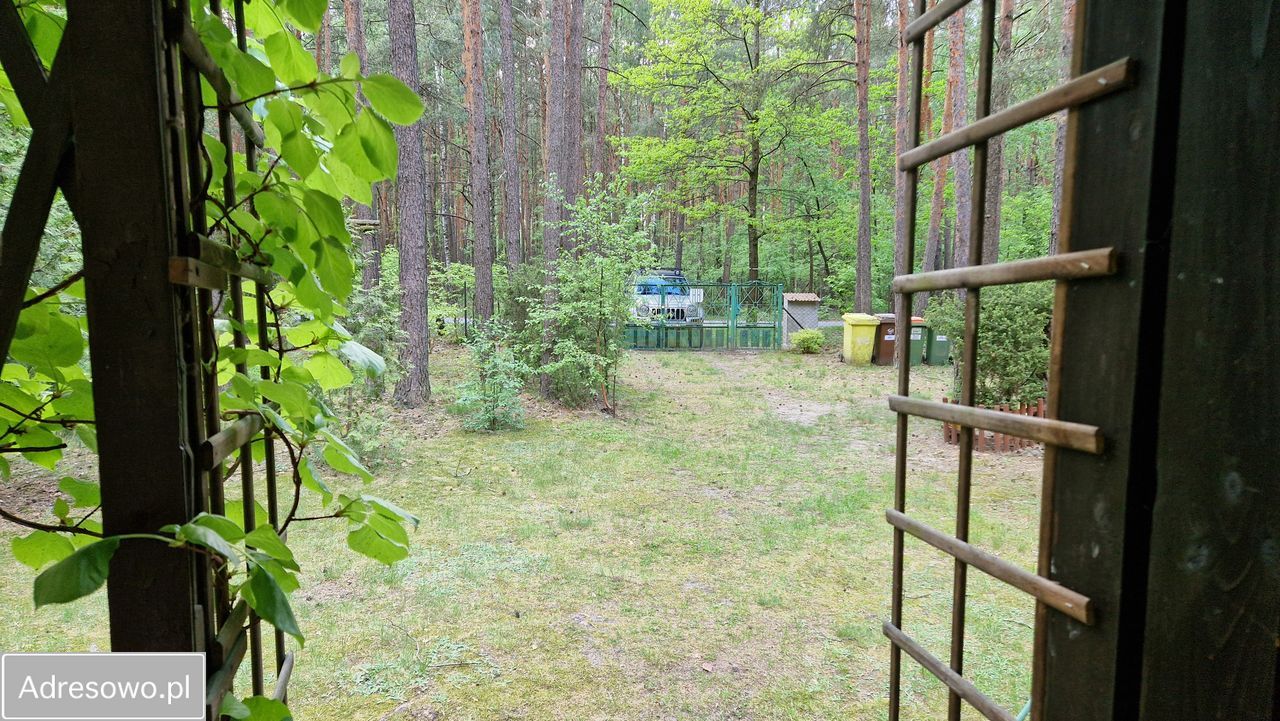 Działka leśna Rokitnica, ul. Gucińska. Zdjęcie 8