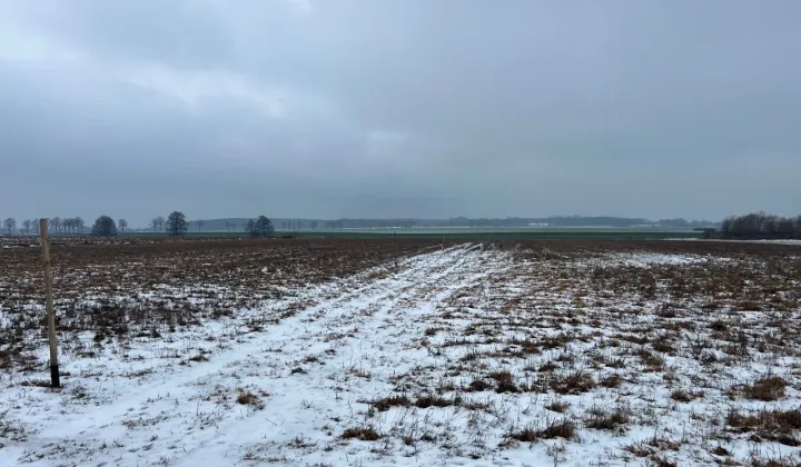 Działka budowlana Konstantynów Łódzki, ul. Zgierska