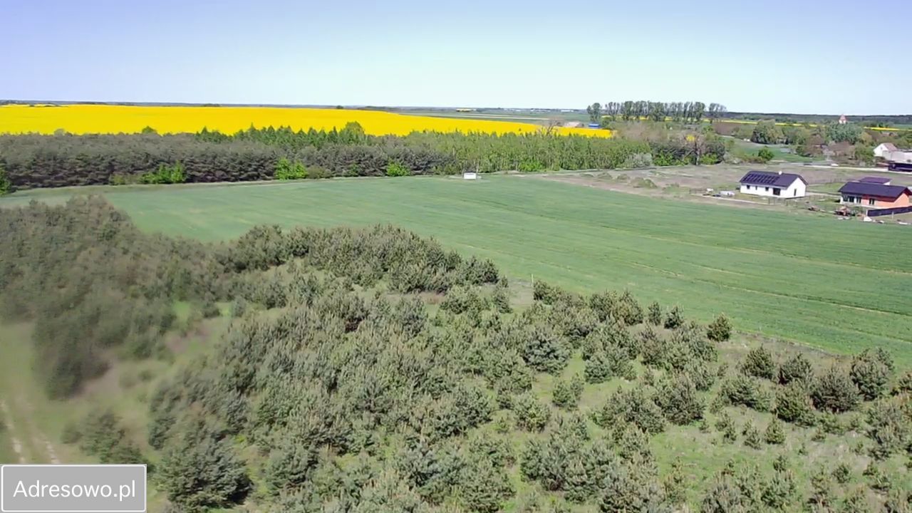 Działka rolno-budowlana Laski Lubuskie. Zdjęcie 2