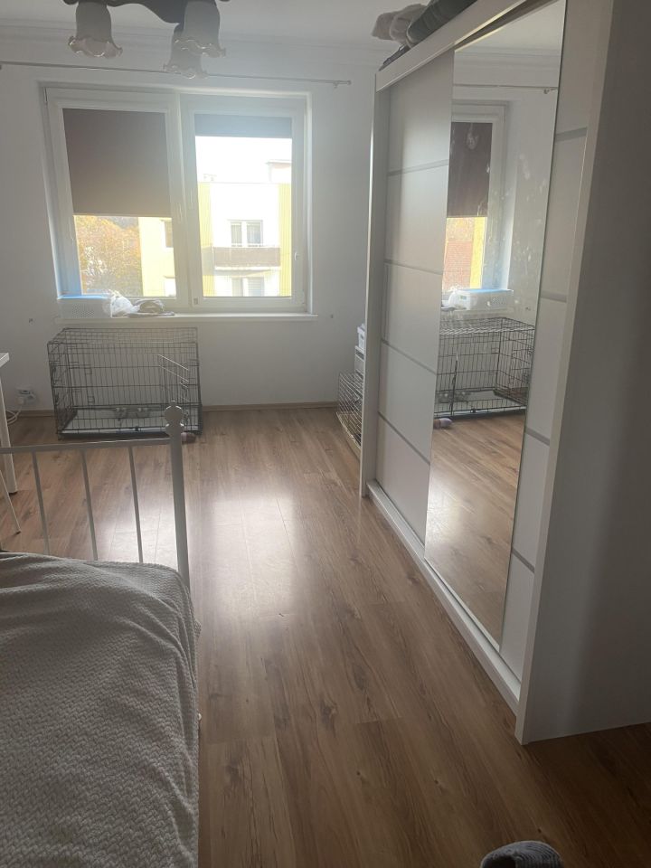 Mieszkanie 2-pokojowe Świdnica Centrum, ul. Stanisława Moniuszki. Zdjęcie 15