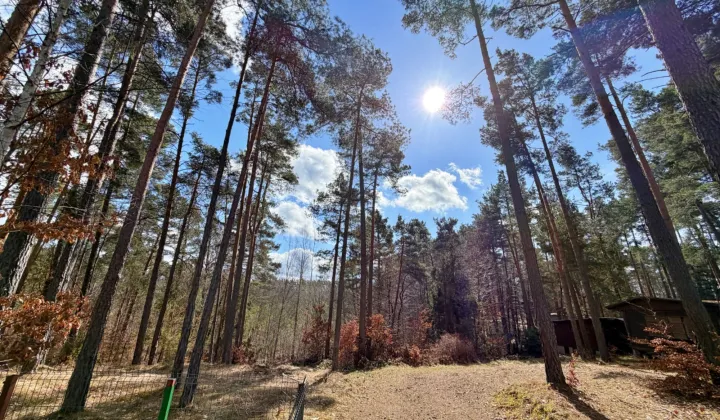 dom letniskowy Kłodno