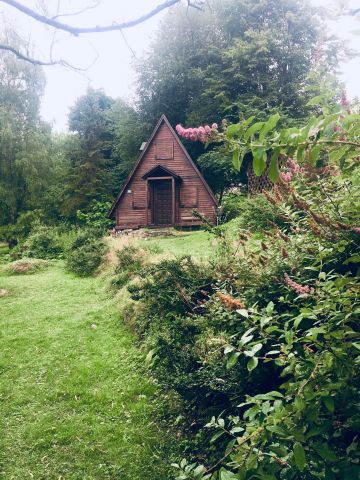 Działka rolna Przyborów Głuchaczki. Zdjęcie 1