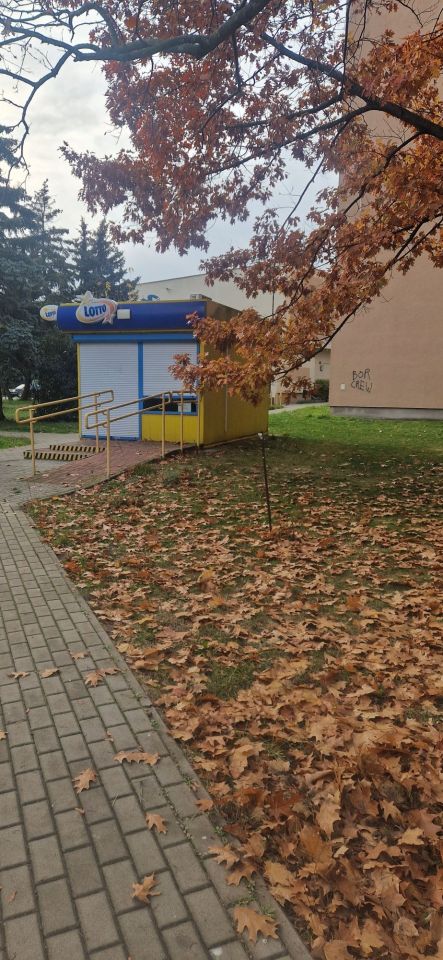 Lokal Poznań Sołacz, ul. Wojska Polskiego. Zdjęcie 3