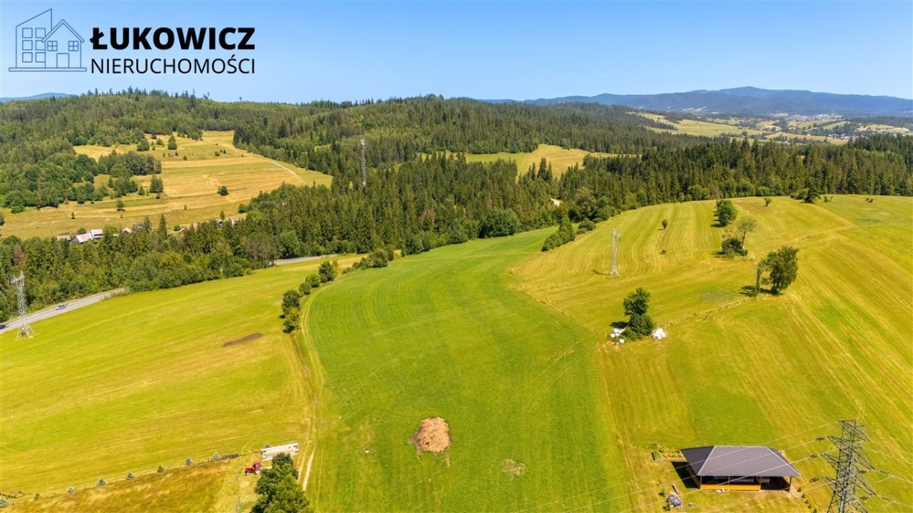 Działka leśna Pieniążkowice. Zdjęcie 18