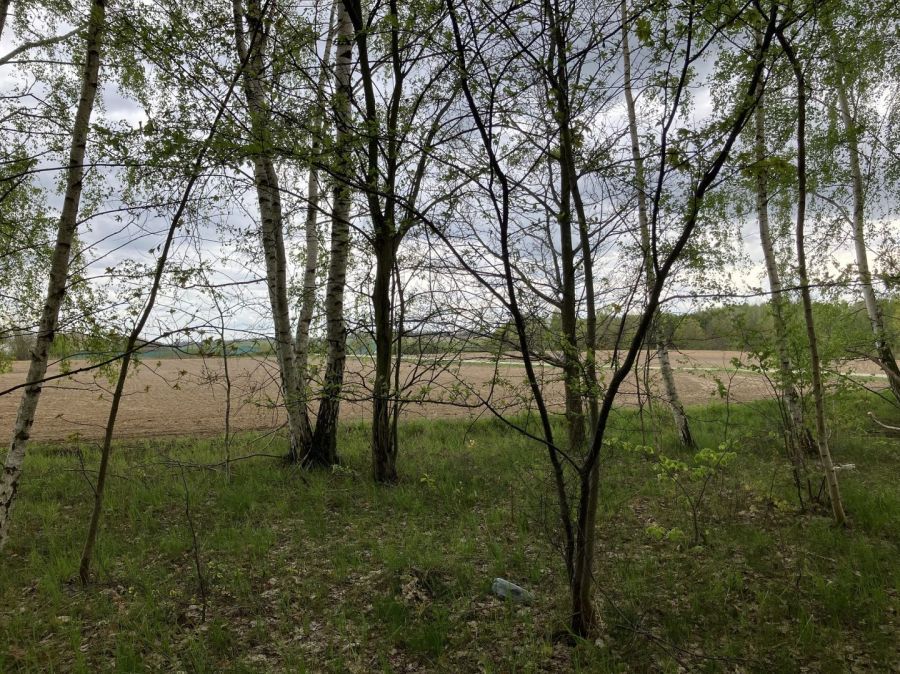 Działka budowlana Jagatowo, ul. Maślakowa. Zdjęcie 12