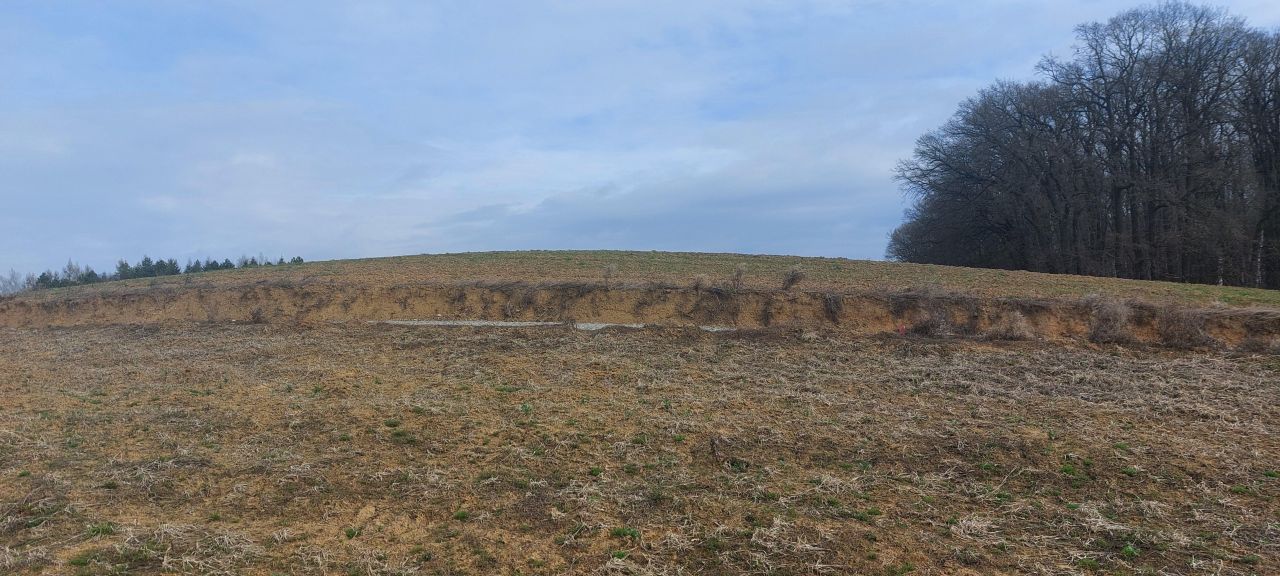 Działka budowlana Łuczyce, ul. Kosynierów. Zdjęcie 2