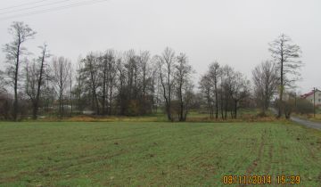 Działka rolna Łódź Sokołów, ul. Drozdowa