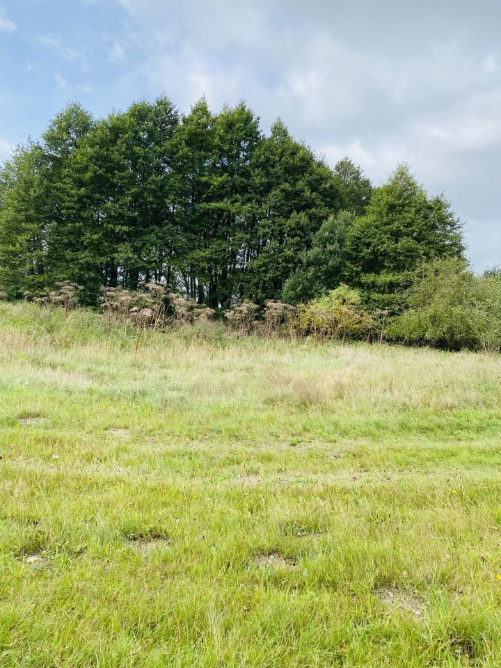 Działka rolna Dalewo. Zdjęcie 3