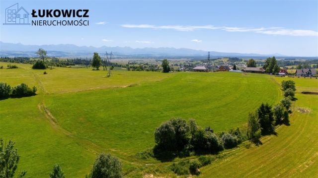 Działka leśna Pieniążkowice. Zdjęcie 2