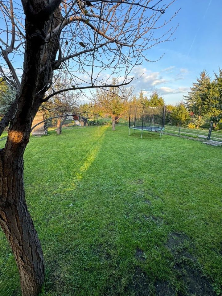 Działka rod Elbląg, ul. Skrzydlata. Zdjęcie 4