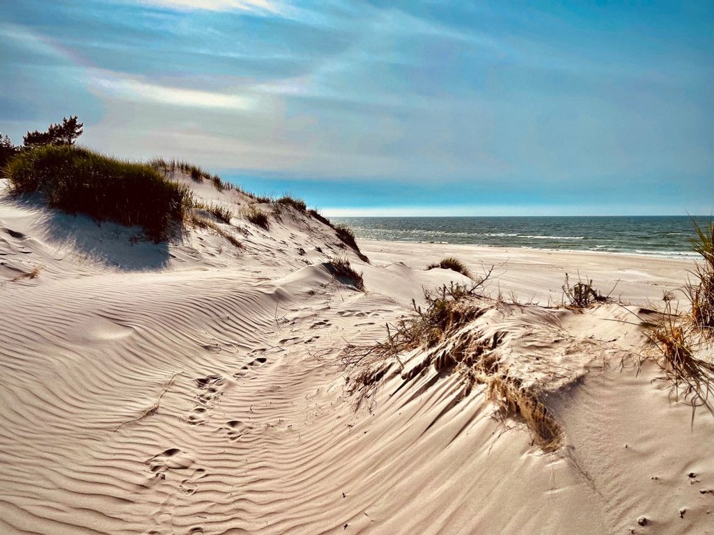 Działka budowlana Sarbsk, ul. Przybrzeże. Zdjęcie 14