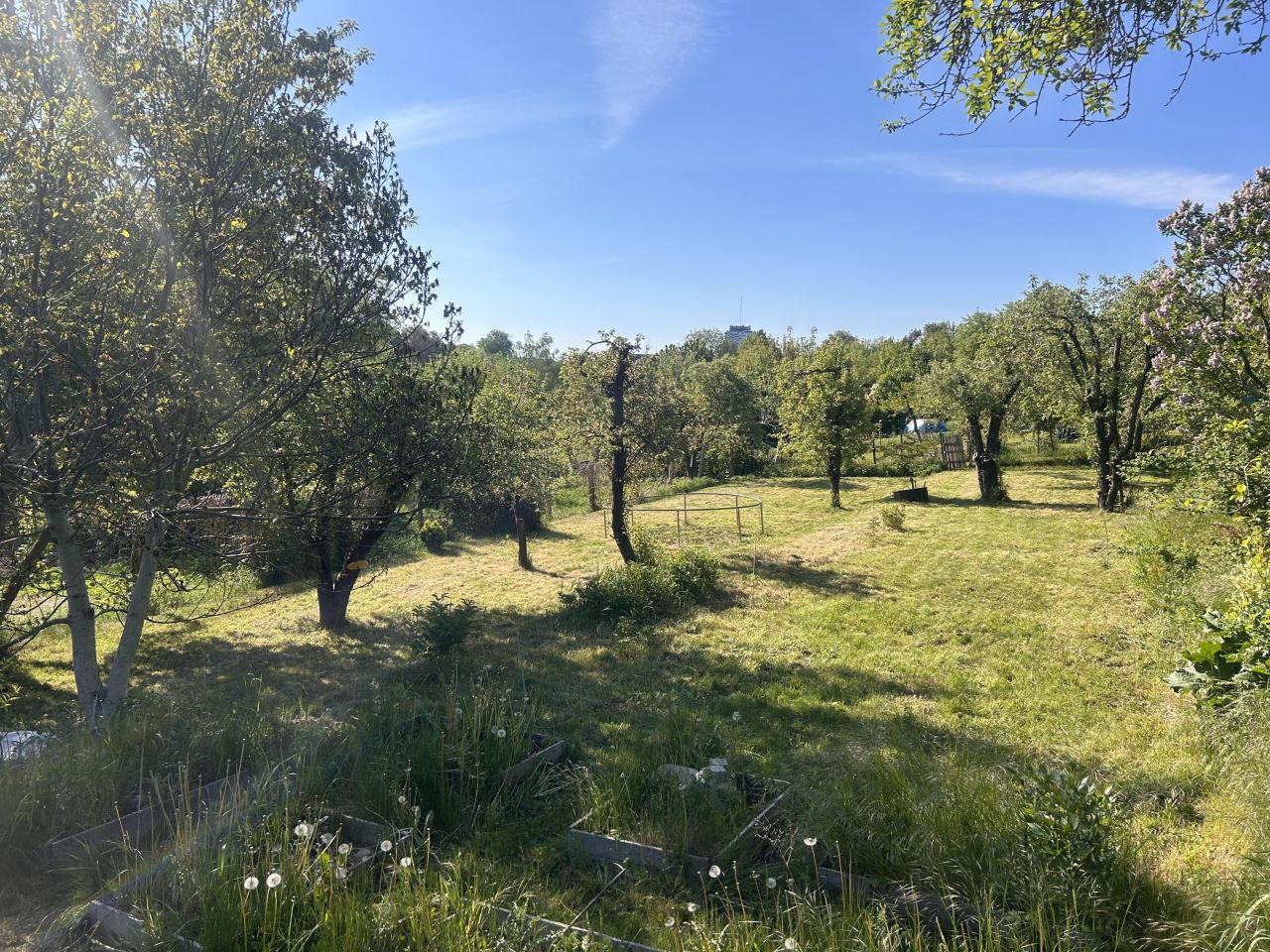 Działka rod Gorzów Wielkopolski Piaski, ul. Stefana Batorego. Zdjęcie 10