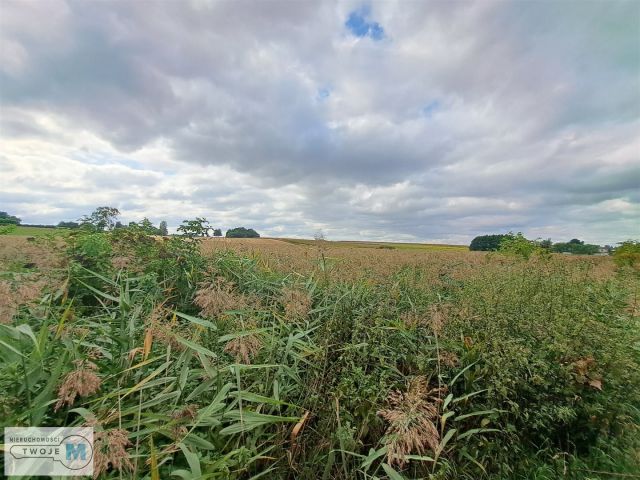 siedlisko, 2 pokoje Ożarów. Zdjęcie 4