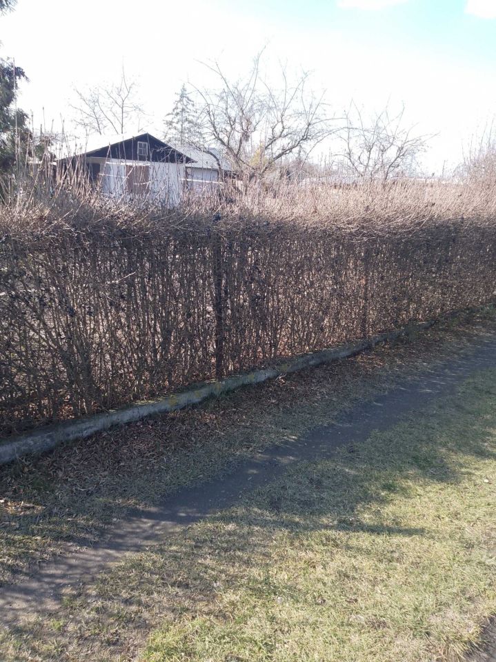 Działka rod Opole, ul. Ludwika Solskiego. Zdjęcie 2