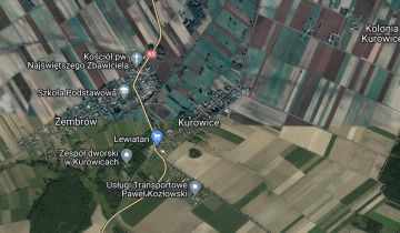 Nieruchomość komercyjna Kurowice