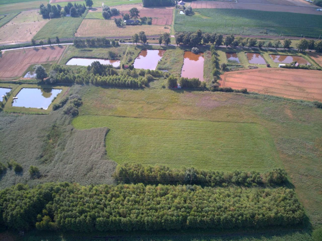 Działka rekreacyjna Łopatki. Zdjęcie 8