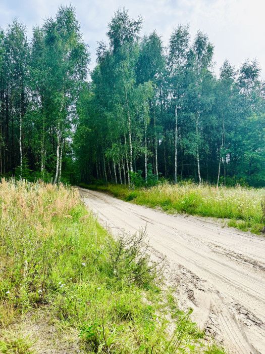 Działka budowlana Szczodrowo. Zdjęcie 8
