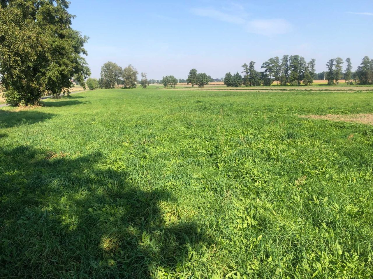 Działka rolna Budy Liskowskie. Zdjęcie 2