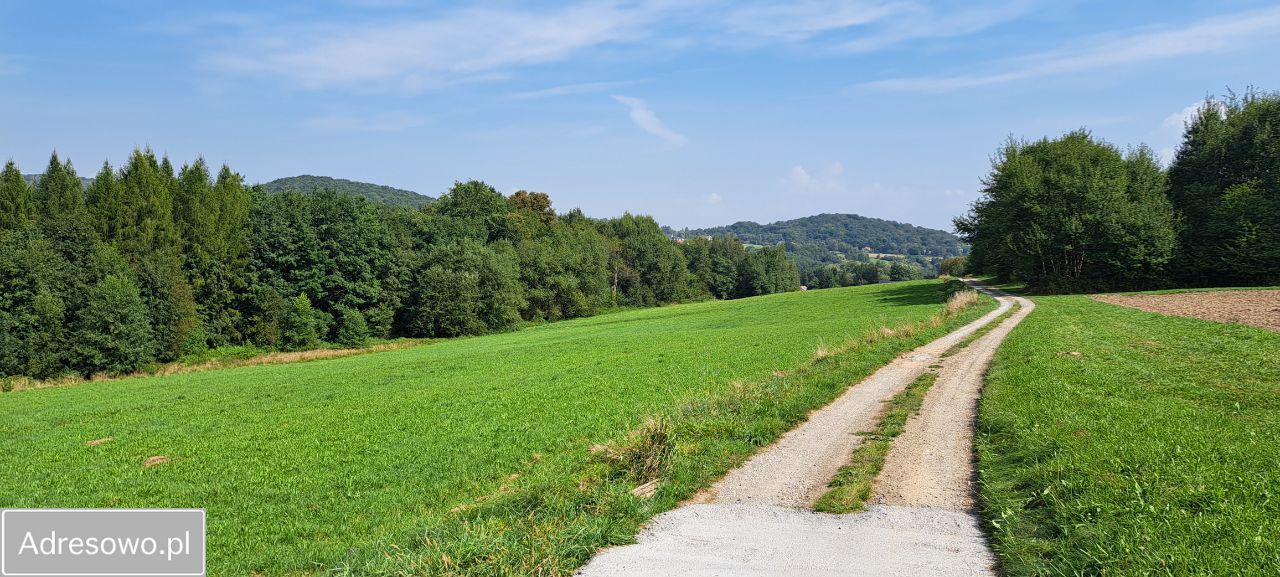 Działka inwestycyjna Grajów. Zdjęcie 4