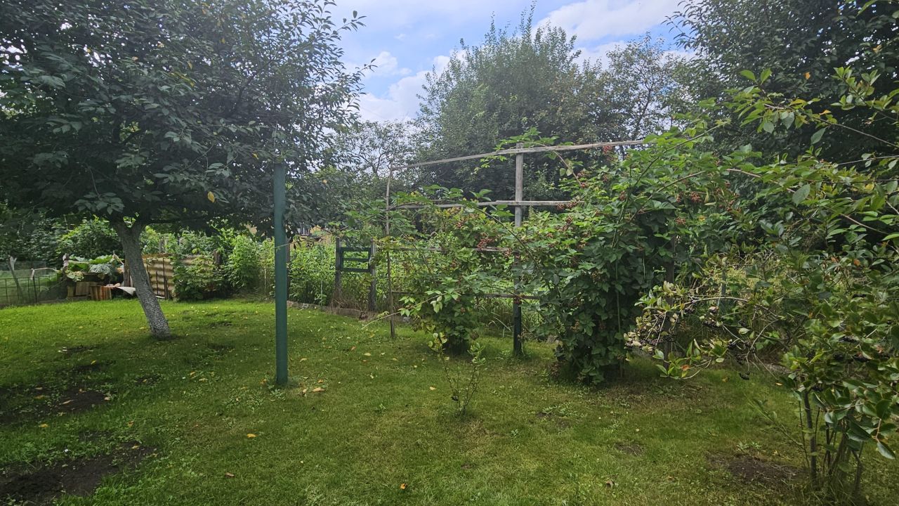 Działka rod Wołów, ul. Spacerowa. Zdjęcie 4