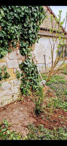 Działka siedliskowa Nowa Wieś Złotoryjska. Zdjęcie 7