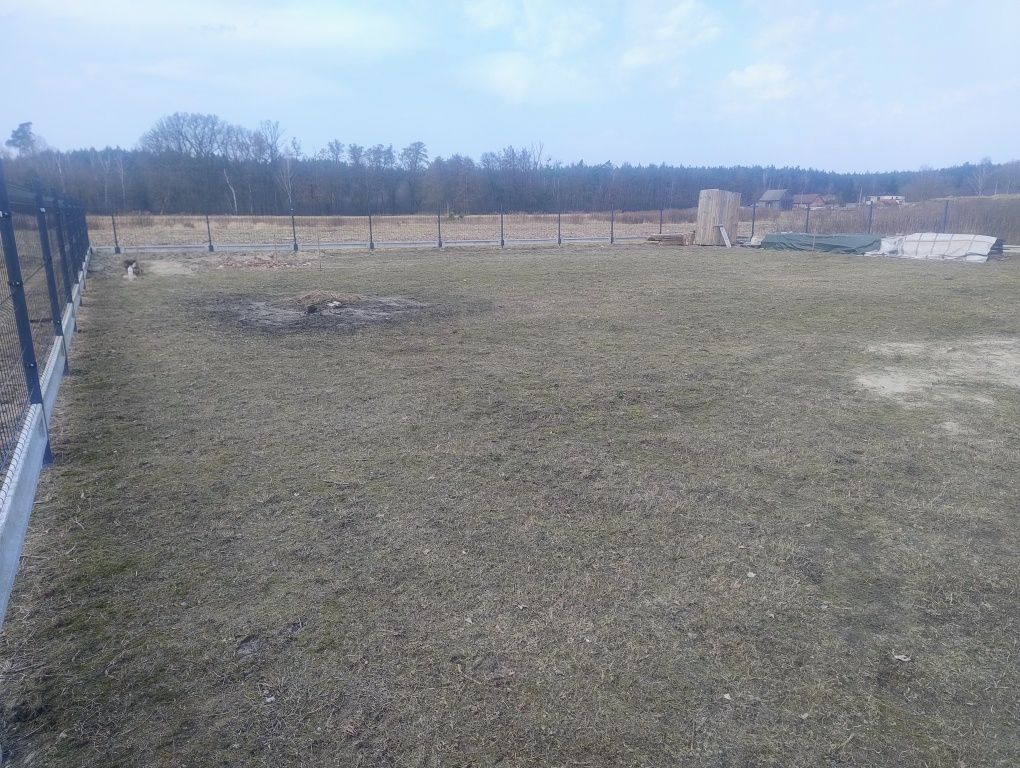 Działka budowlana Słopanowo Słopanowo-Huby. Zdjęcie 2