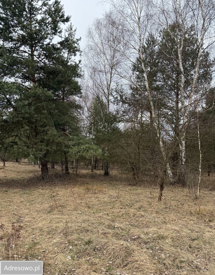 Działka rolno-budowlana Ostojów. Zdjęcie 6