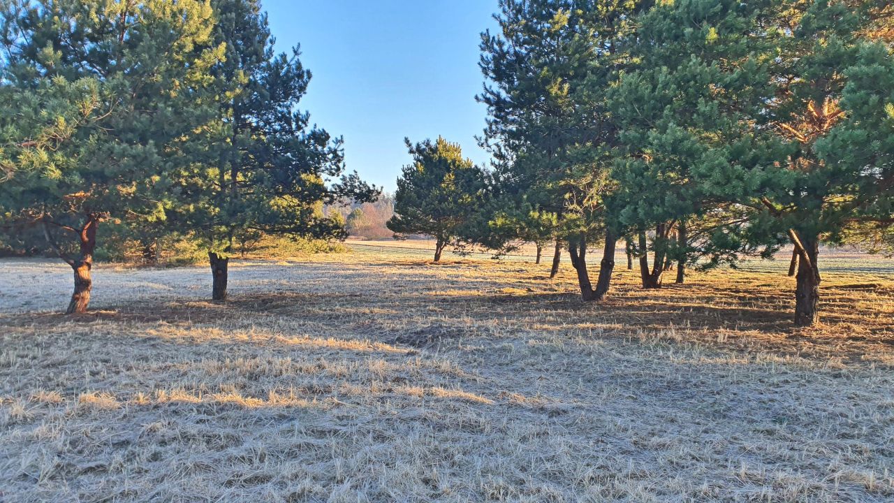 dom wolnostojący, 3 pokoje Skarbka Bidzińszczyzna, Bidizńszczyzna. Zdjęcie 14