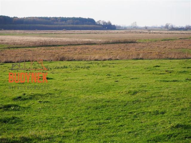 Działka rolna Krupy. Zdjęcie 2