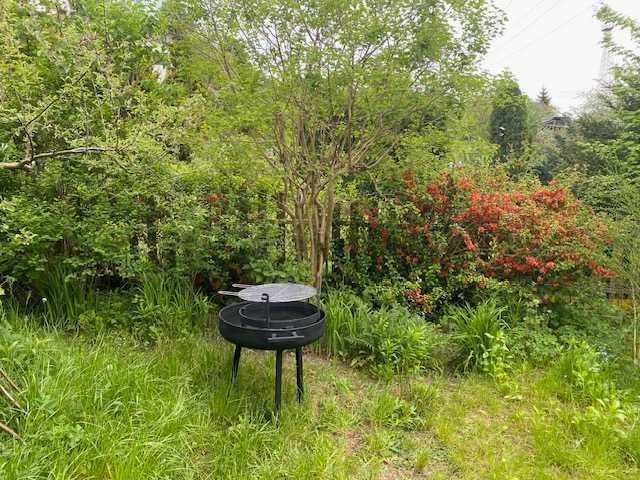 Działka rod Gdańsk Kokoszki. Zdjęcie 1