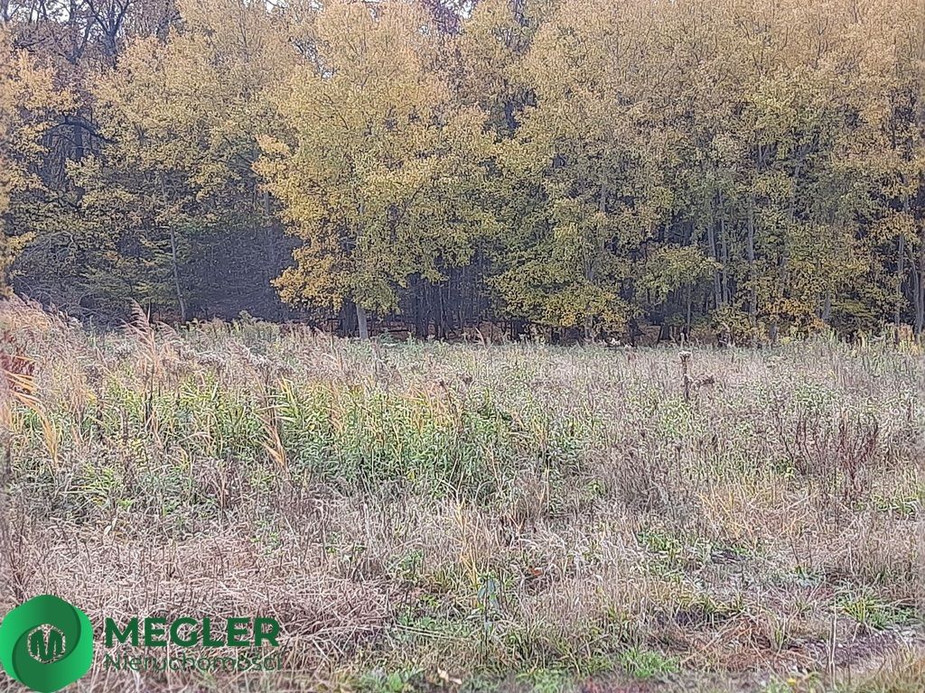 Działka budowlana Rusiec. Zdjęcie 3