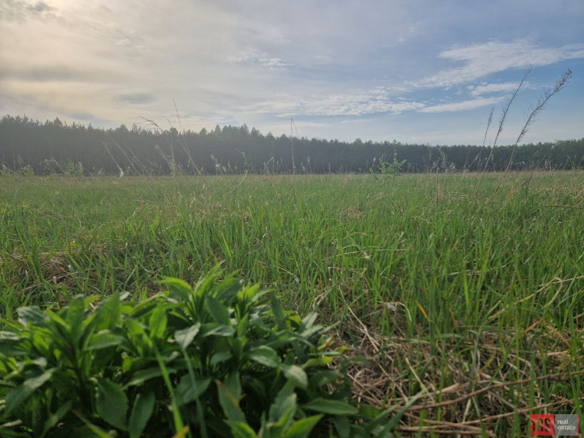 Działka budowlana Joniec. Zdjęcie 2