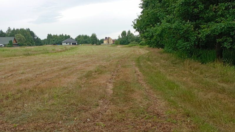 Działka rolno-budowlana Jadachy. Zdjęcie 3