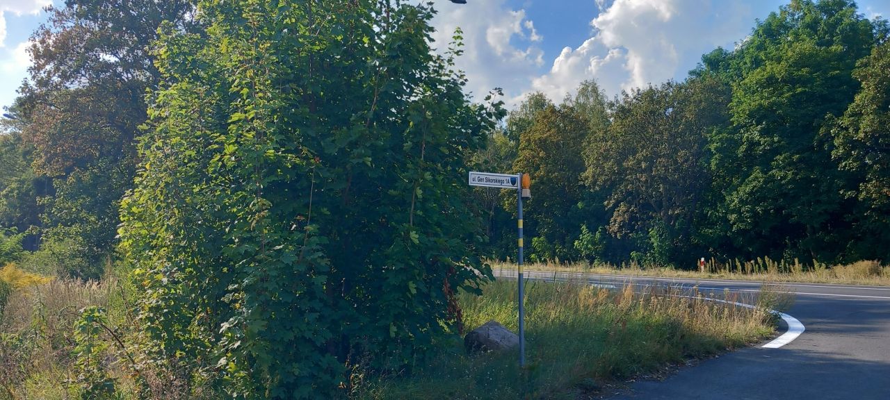 Działka inwestycyjna Boczów, ul. gen. Sikorskiego. Zdjęcie 8