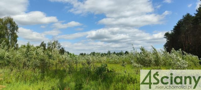 Działka budowlana Ostrówek. Zdjęcie 2