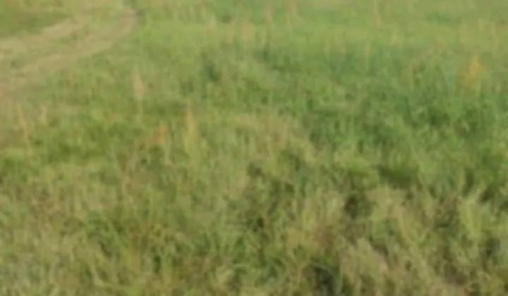 Działka budowlana Lipowiec