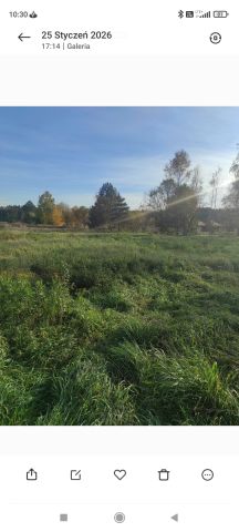 Działka rolno-budowlana Nowe Bojszowy, ul. Korzenicka. Zdjęcie 1