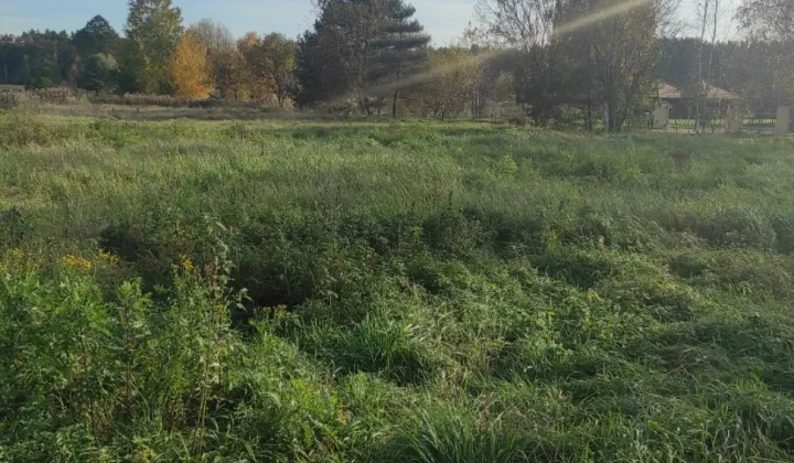 Działka rolno-budowlana Nowe Bojszowy, ul. Korzenicka