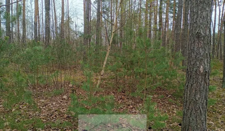 Działka budowlana Wilcza Góra