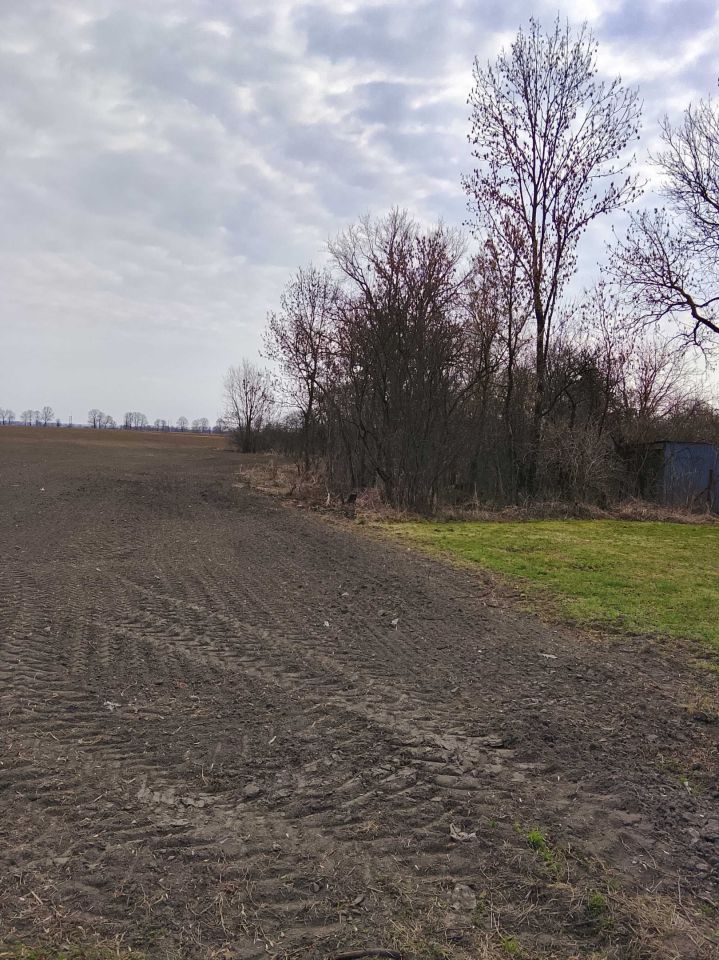 Działka budowlana Fiszewo. Zdjęcie 8