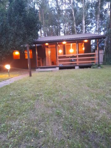 Działka rekreacyjna Dzbądz, ul. Jesionowa. Zdjęcie 2